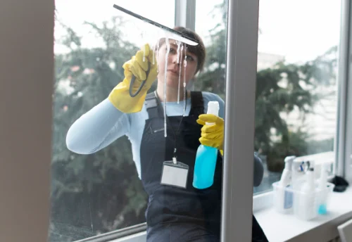 Nettoyage de vitres intérieures et extérieures à l'Isle-en-Rigault